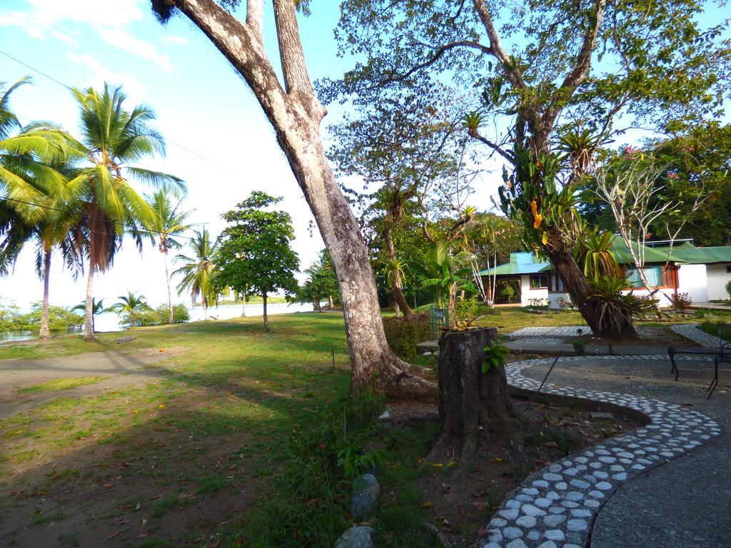 Corcovado Beach Lodge Puerto Jiménez Εξωτερικό φωτογραφία