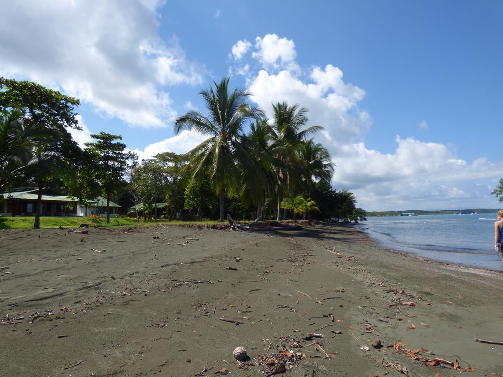Corcovado Beach Lodge Puerto Jiménez Εξωτερικό φωτογραφία
