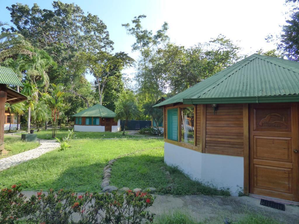 Corcovado Beach Lodge Puerto Jiménez Εξωτερικό φωτογραφία